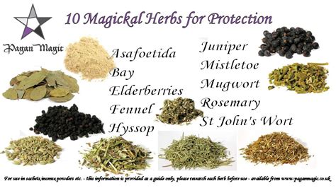 Wicca herbs for protectuon